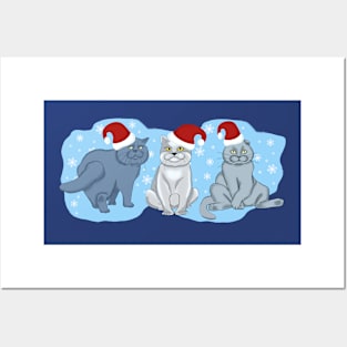 Christmas cats. Three cats on a blue background with snowflakes. Posters and Art